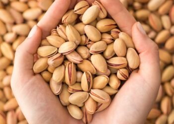 Peut-on donner des pistaches aux chiens