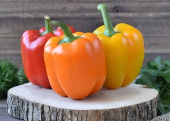 peut-on donner des poivrons à un chien