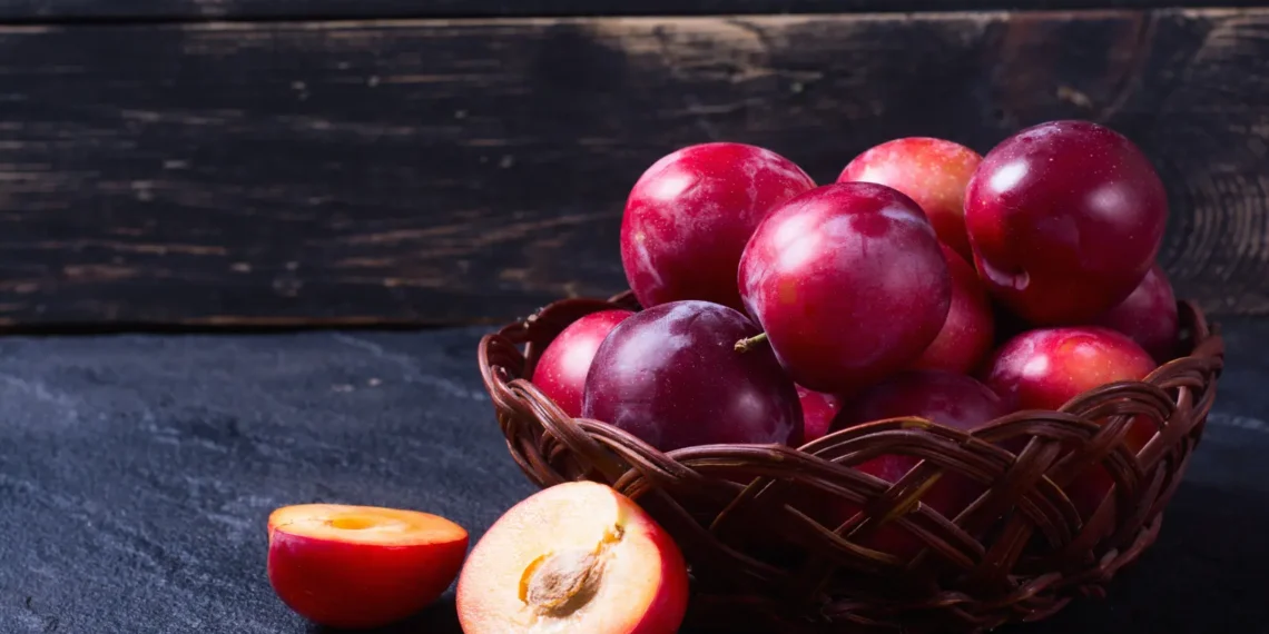 Peut-on donner des prunes à un chien