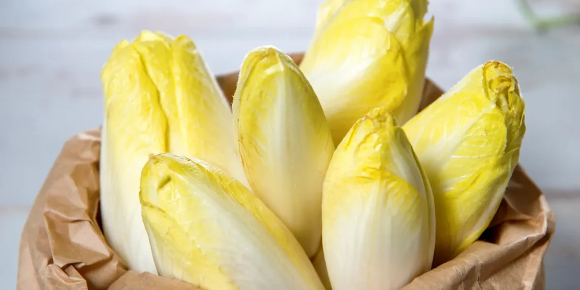 peut-on donner des endives à un chien