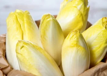 peut-on donner des endives à un chien