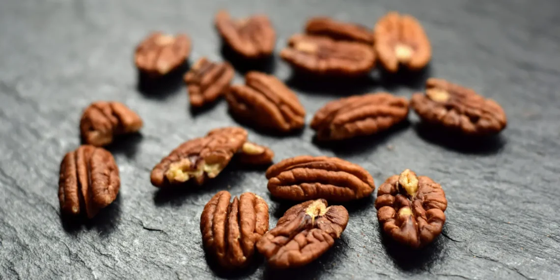 Peut-on donner des noix de pécan aux chiens