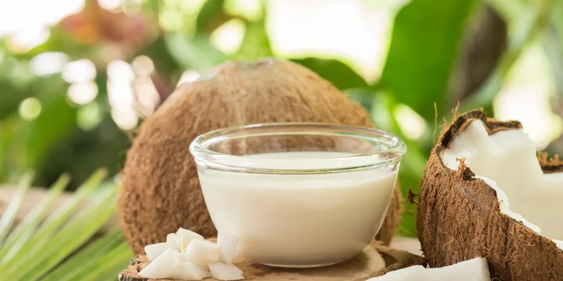 Peut-on donner du lait de coco au chien