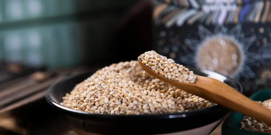 Peut-on donner du quinoa aux chiens