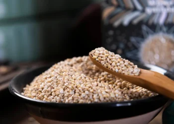 Peut-on donner du quinoa aux chiens