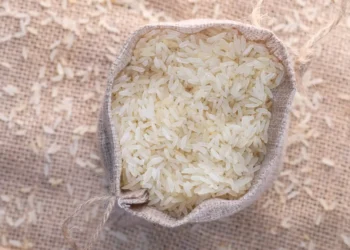 Peut-on donner du riz aux chiens