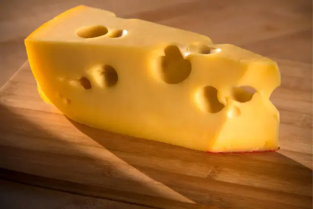 peut-on-donner-du-fromage-suisse-a-un-chien-1
