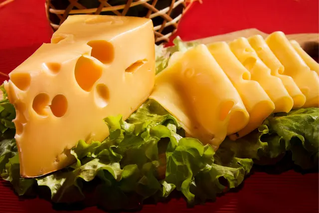 peut-on-donner-du-fromage-suisse-a-un-chien-2