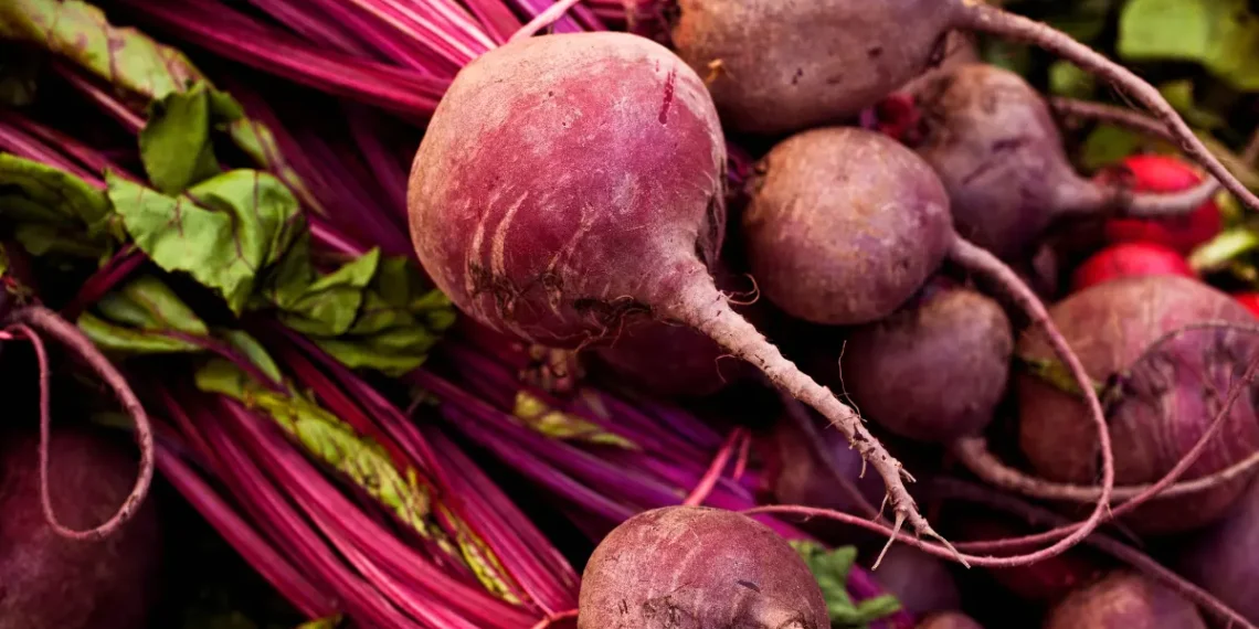 Peut-on donner des betteraves à un cheval