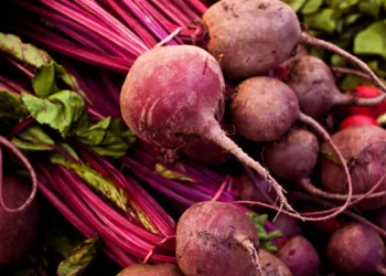 Peut-on donner des betteraves à un cheval