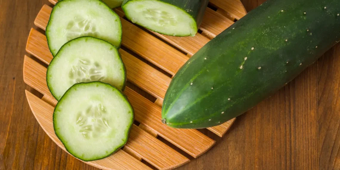 Peut-on donner des concombres à un cheval