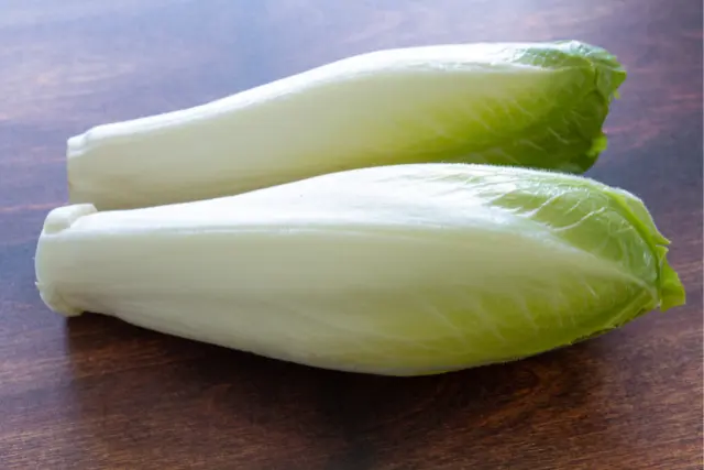 peut-on-donner-des-endives-a-un-cheval-1