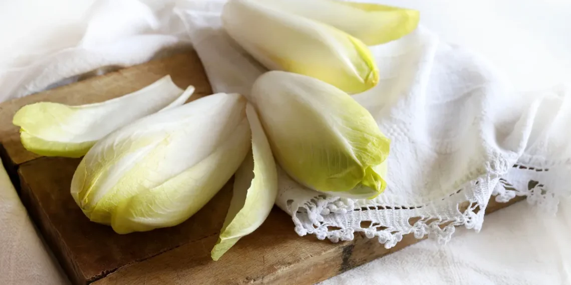 Peut-on donner des endives à un cheval