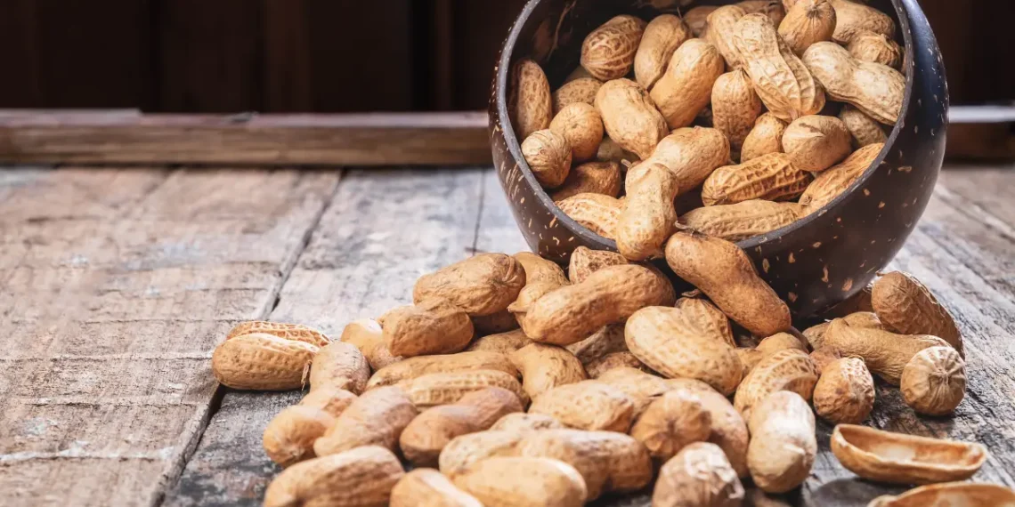 Peut-on donner des cacahuètes aux poules