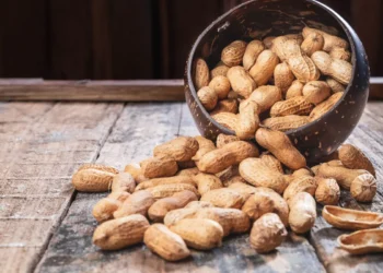 Peut-on donner des cacahuètes aux poules