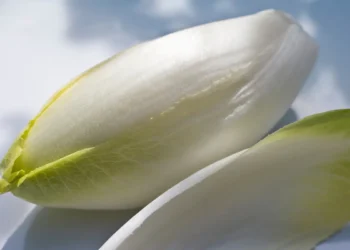 Peut-on donner des endives aux poules