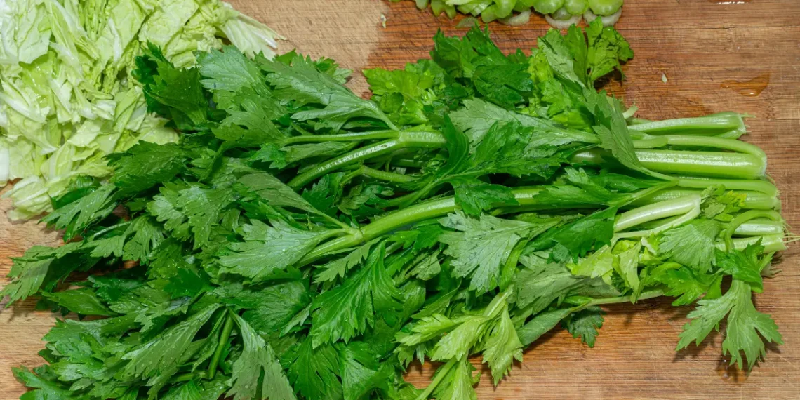 Peut-on donner du céleri aux poules