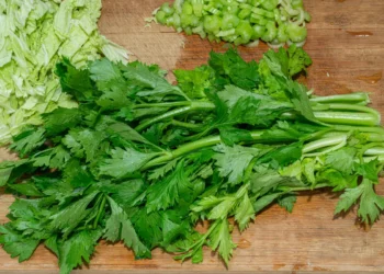 Peut-on donner du céleri aux poules