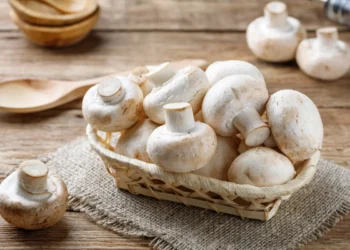 Peut-on donner du champignon aux poules