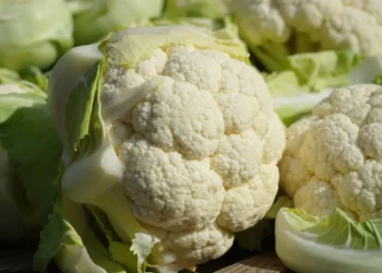 Peut-on donner du chou-fleur à une poule