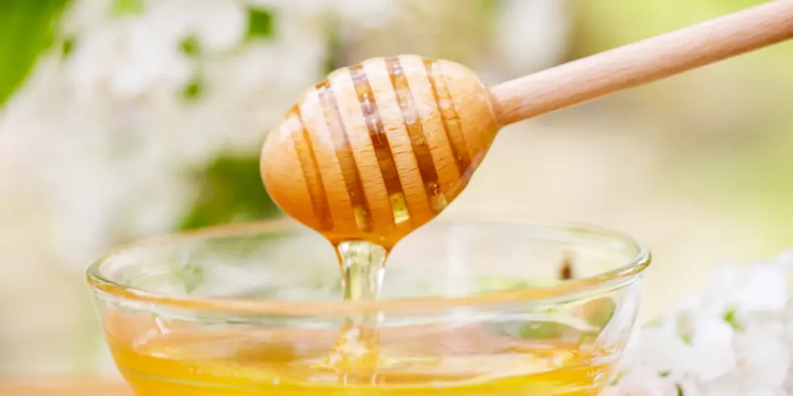 Peut-on donner du miel à son chat