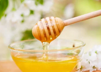 Peut-on donner du miel à son chat